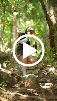 BIB:  <button type="button" onclick="openModal(27587856)" class="btn btn-primary btn-sm float-right" data-toggle="modal" data-target=".modal-high-quality">
                <i class="fa fa-download"></i> Download
                </button>